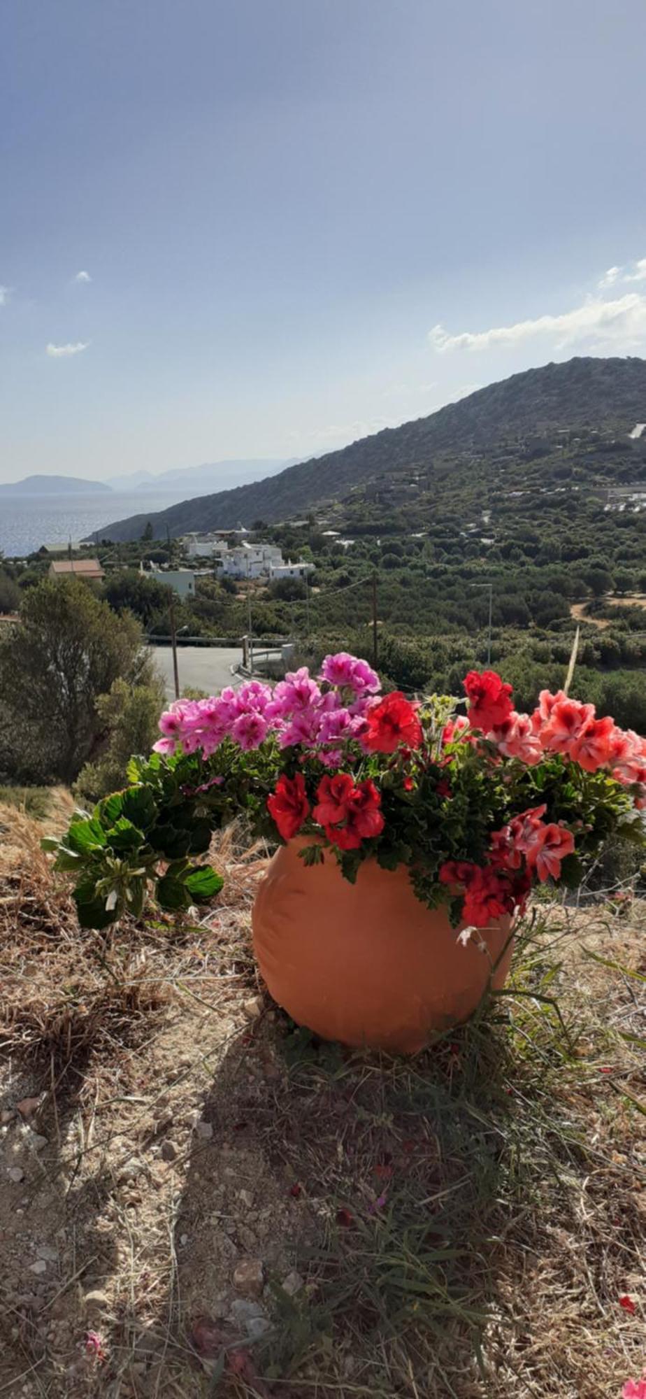 Hari Apartments Vathi, Agios Nikolaos Crete Eksteriør bilde