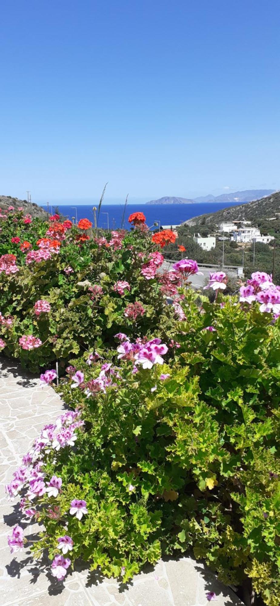 Hari Apartments Vathi, Agios Nikolaos Crete Eksteriør bilde